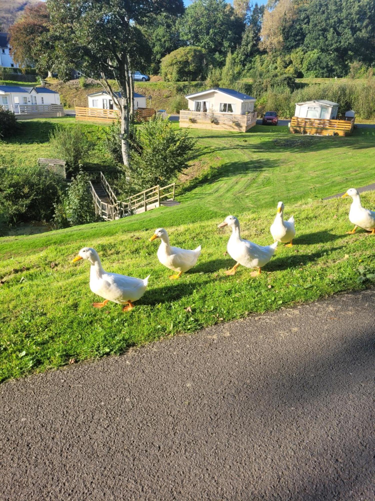 The Sunny Bunny Holiday Home Ballantrae ภายนอก รูปภาพ