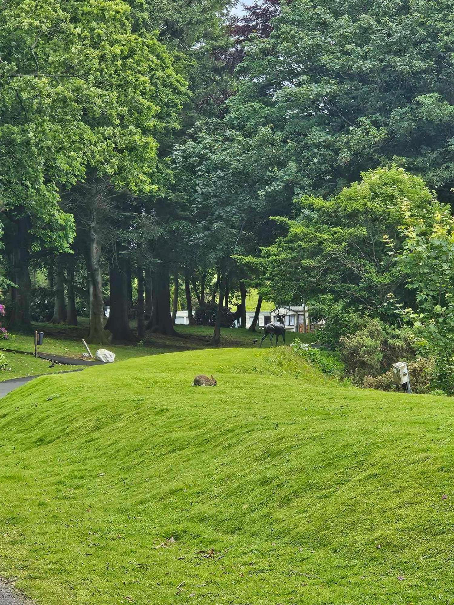 The Sunny Bunny Holiday Home Ballantrae ภายนอก รูปภาพ